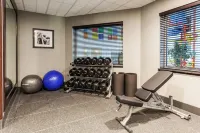 Holiday Inn Express & Suites RAPID CITY I-90 by IHG - Gym