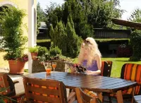 Hotel Traube Lossburg فنادق في Dornhan
