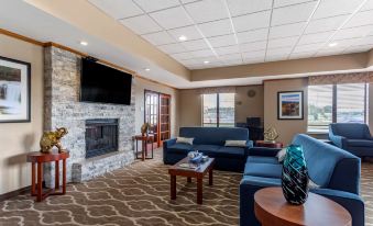 Comfort Inn & Suites Carbondale University Area