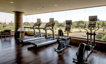 a well - equipped gym with various exercise equipment , including treadmills and weight machines , set against a large window at Hyatt Place Hampi
