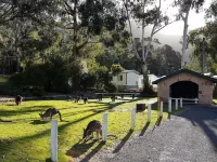 Breeze Holiday Parks - Halls Gap Hotel berhampiran Stawell Airport