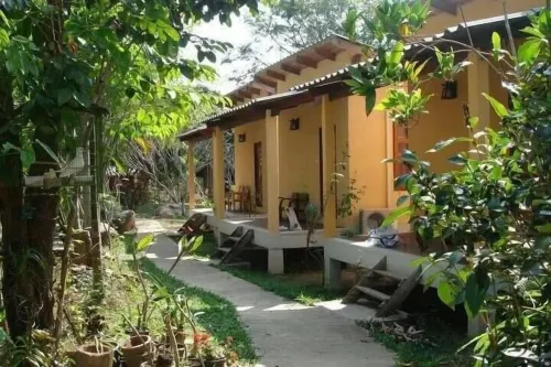 Mountain Blues Cottage Pai - بيت ضيافة
