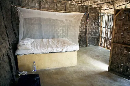 Daltons Banana Guesthouse Отели в г. Йорк