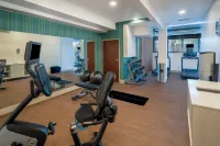 Holiday Inn Express & Suites DAHLONEGA - UNIVERSITY AREA by IHG - Gym