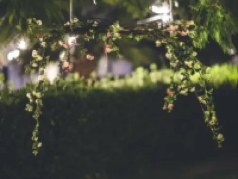 Il Vigneto Resort Hoteles en Menfi