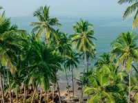 Costatina - Agonda Beach Hotels in Agonda