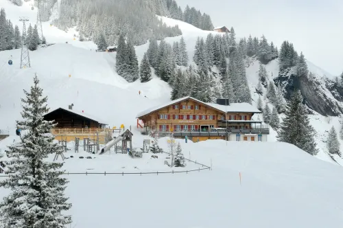 Alpinhotel Bort