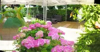 Hôtel de France Hotels in Caudebec-en-Caux