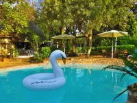 Victoria Falls Backpackers Lodge - ที่มีสระว่ายน้ำ
