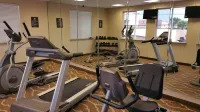 Comfort Inn & Suites Lakeside - salle de sport