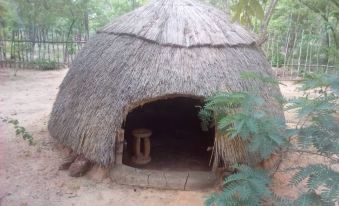 Dumisa African Home
