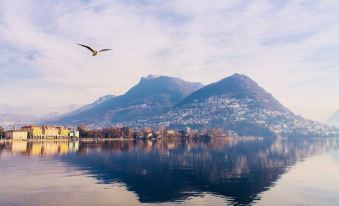 GuestHouse Lugano Apartments by LR