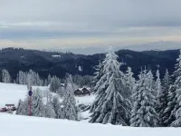 pop-up stuub bierhäusle feldberg - Haustierfreundliche