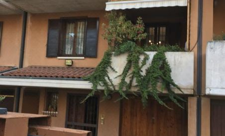 B&B Luisa - Housity