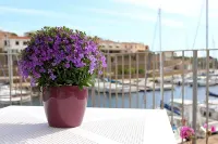 103 Boutique Hotel Stintino - Ocean View
