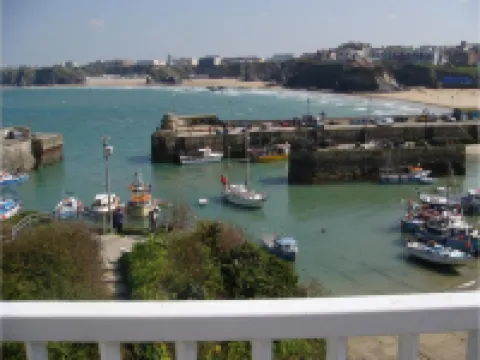 The Harbour