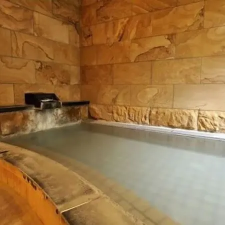 Hakuba Onsen Ryokan Shirouma-so