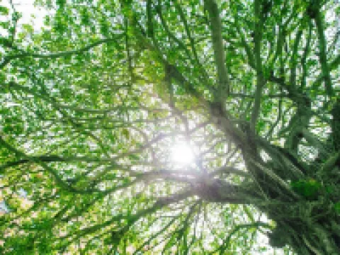 沖縄ハーバービューホテル 那覇のホテル