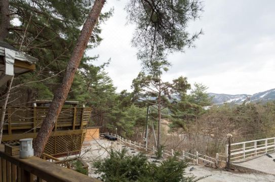 횡성 숲속의사랑별펜션