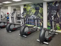 The Royal Sonesta New Orleans - gimnasio