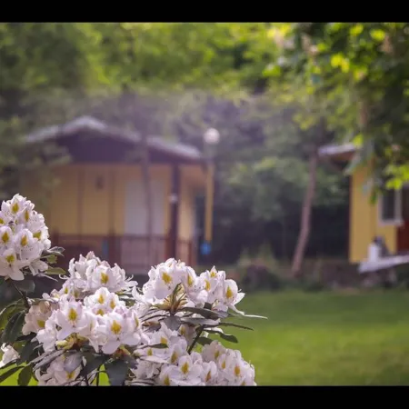 2 Persons Bungalow in Lovely and Familial Area