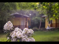 Nice Bungalow in Petrich Hotels in Kamena