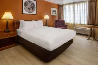 Ramada by Wyndham Rome/Verona - Pet friendly