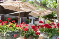 Domaine du Lac - Teritoria Hotels in Le Luc