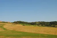 Lina - Podere Ribatti Casole d'Elsa