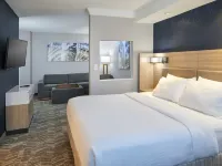 SpringHill Suites Detroit Southfield Hôtels à : Southfield