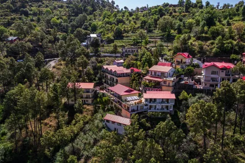 Country Inn Maple Resort Chail Hotels in Chail