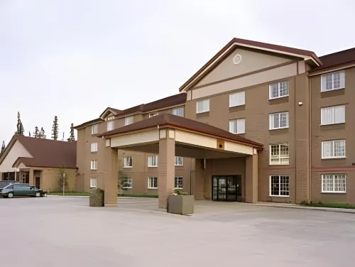 Woodlands Inn & Suites - salle de sport