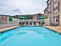 Comfort Inn & Suites Rome South
