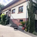 Gite du Ried Hotel a Haguenau