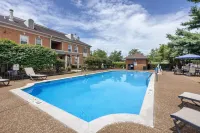 Best Western Spring Hill Inn  Suites Hotels in Spring Hill