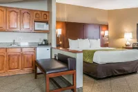 Comfort Suites - Pool