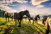 Hotel Berghof Hotels in Hermagor