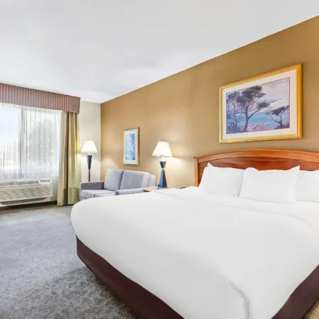Comfort Inn & Suites I-25 Near Spaceport America Отели в г. Трут-ор-Консекуэнсес