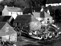 Cadgwith Cove Inn Hotels in Mullion