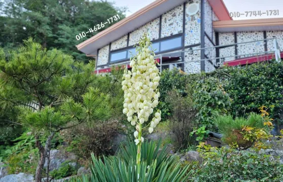 位於龜尾的2卧室獨棟房屋-平方米|帶1個獨立浴室