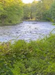 Riverside cabin, fly-fish for trout or just relax!