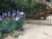 Le Mazet Authentique à Uzès, Clim, Piscine, Jardin, Wifi, Ideal Couple Hôtels à proximité de : Cathédrale Saint-Théodorit d'Uzès