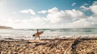 Experience the Island Paradise of Kauai's North Shore from Above the Treetops