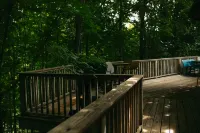 Sleeping Bear "Treehouse"; close to Glen Arbor, Lake MI, the dunes & bike trails