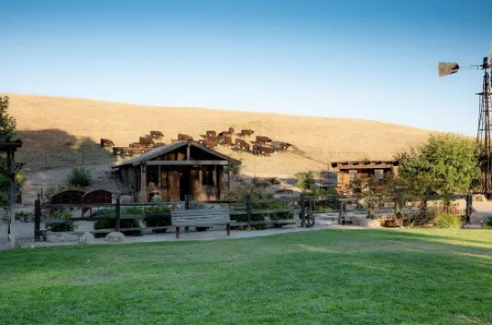 Paso Robles Ultimate Farm Stay! Country Oasis!! Very Unique!!!