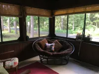 The Loon-ey Bin - Loon themed cottage less than 10 miles to Lake George