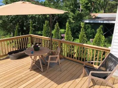 Newly built, light soaked designer Ann Arbor home.