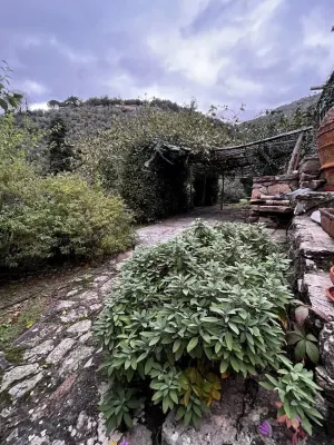 Ancient Tuscan style country house with a view of the Pisan Mountains Hotels in Calci