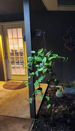 Cozy home with great fishing from dock.Peaceful and Private with nature trails. Отели в г. Юнион Пэриш