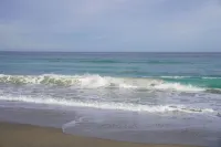 The Beach House